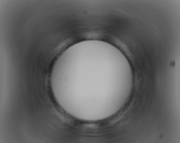 X0000093510161200710121110