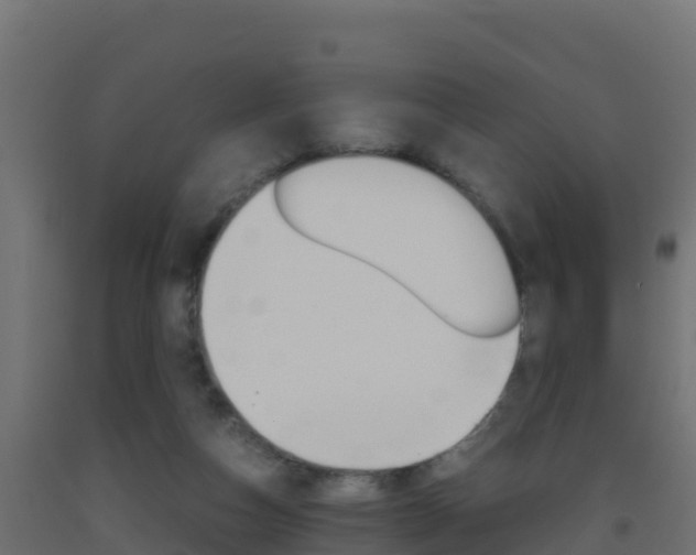X0000093510162200710121110