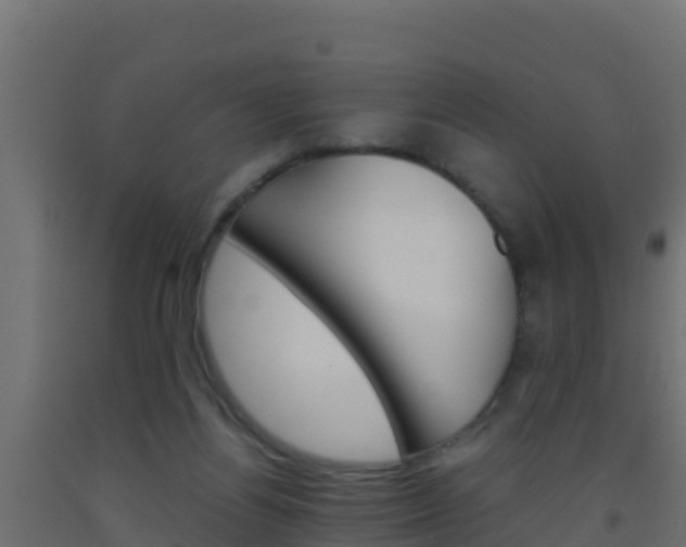 X0000093510164200710121110