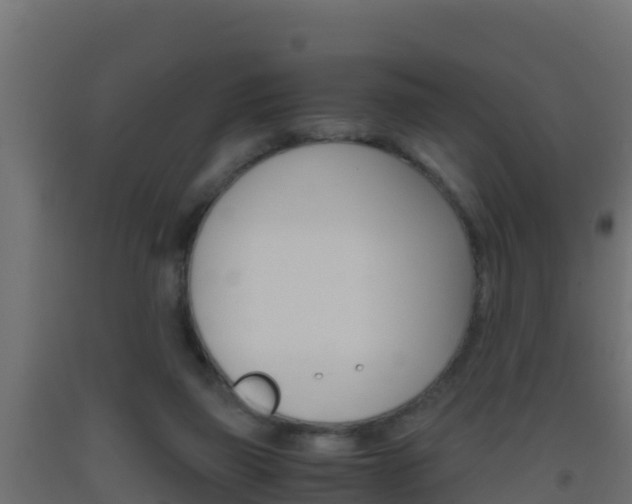 X0000093510165200710121110