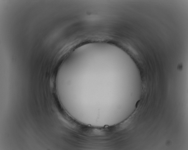X0000093510166200710121110
