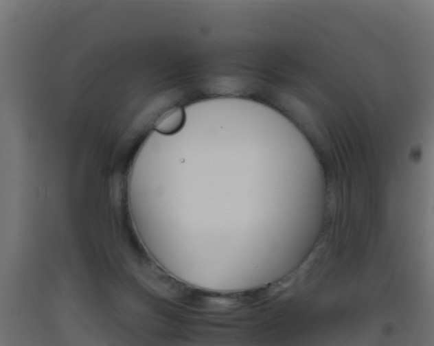 X0000093510167200710121110