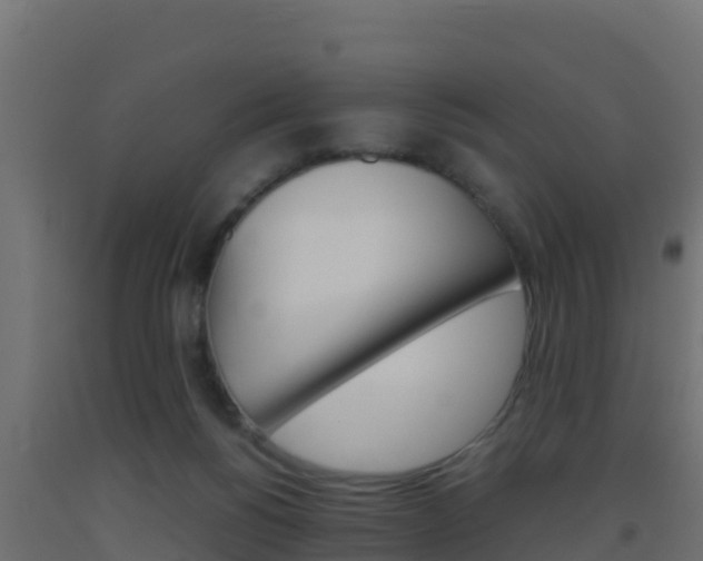 X0000093510168200710121110