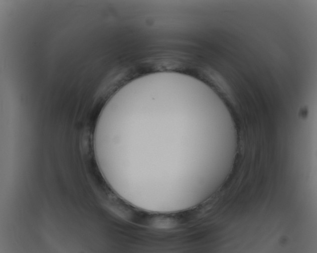 X0000093510169200710121110