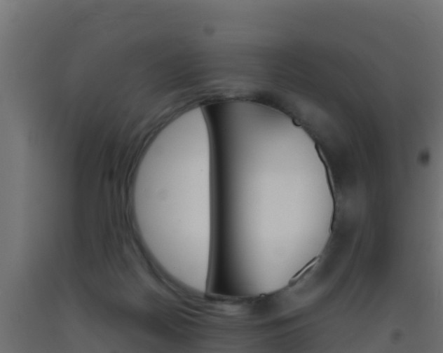 X0000093510170200710121110