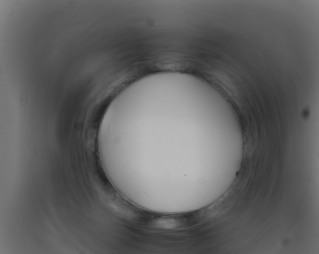 X0000093510171200710121110