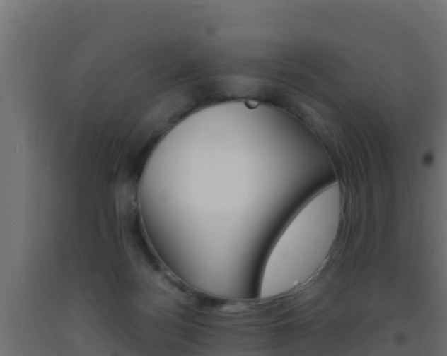 X0000093510172200710121110
