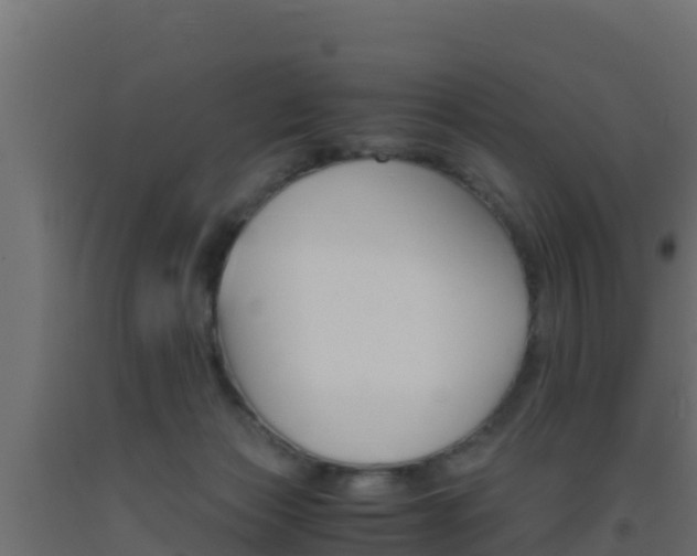 X0000093510173200710121110