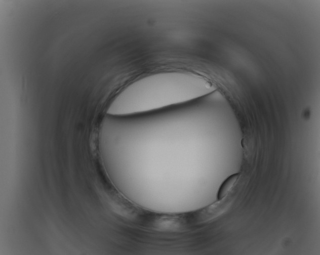 X0000093510175200710121110
