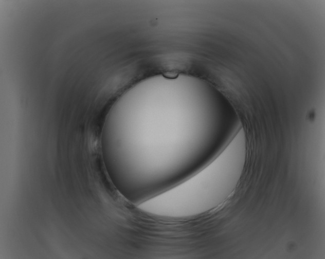 X0000093510176200710121110
