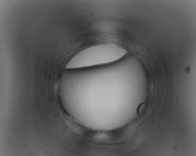 X0000093510177200710121110