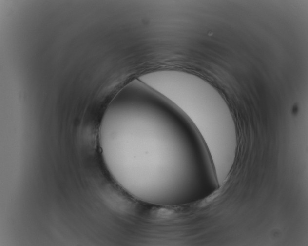 X0000093510180200710121110