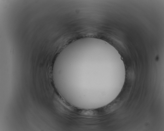 X0000093510181200710121110