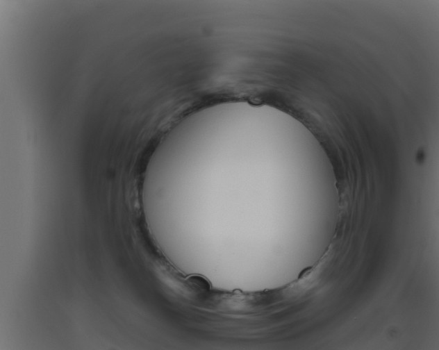 X0000093510182200710121110