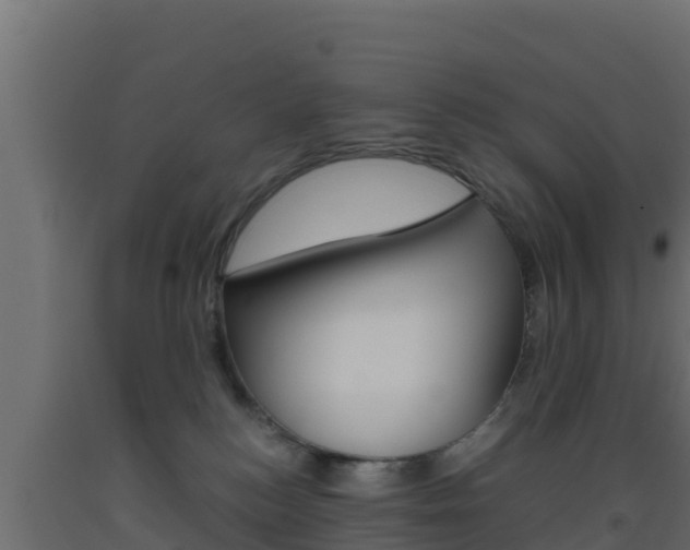 X0000093510184200710121110