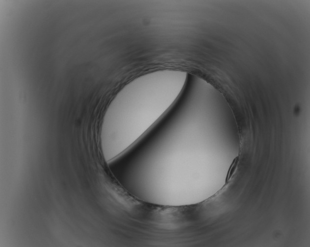 X0000093510186200710121110