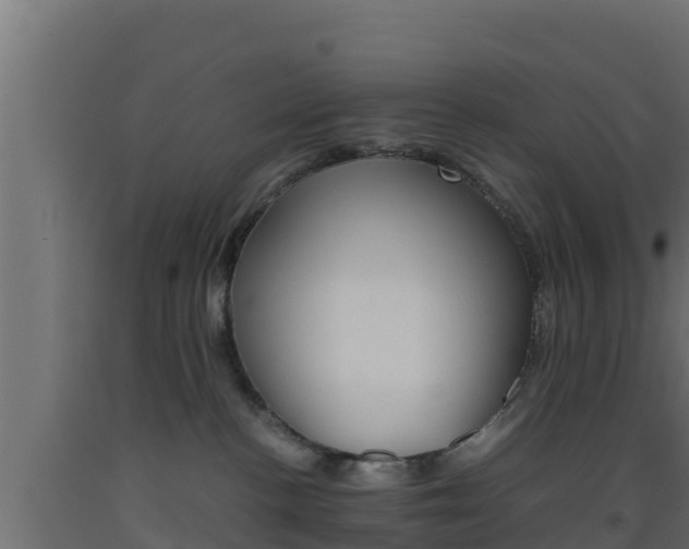 X0000093510188200710121110
