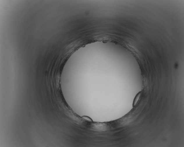 X0000093510189200710121110