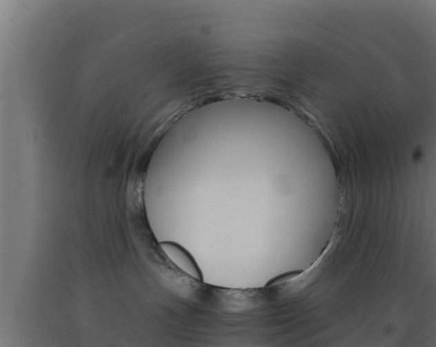 X0000093510191200710121110