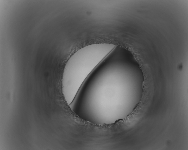 X0000093510192200710121110