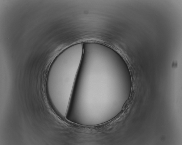 X0000093510193200710121110