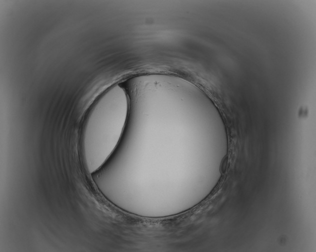 X0000093510194200710121110