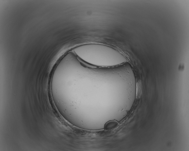 X0000093510195200710121110