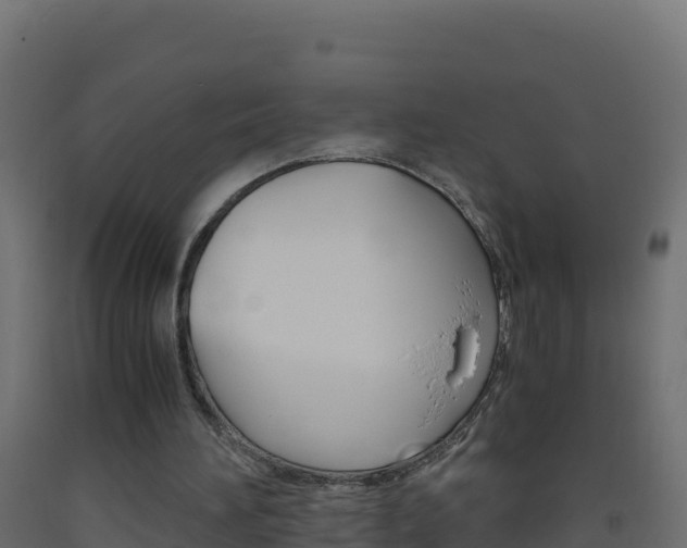 X0000093510196200710121110