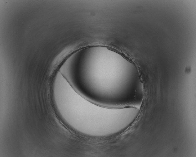X0000093510197200710121110