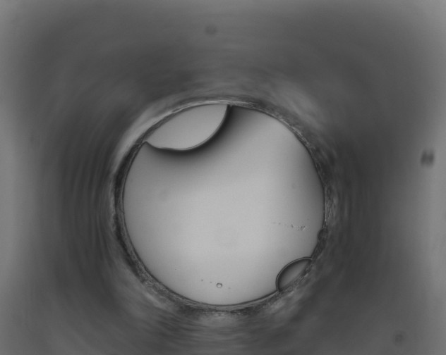 X0000093510198200710121110
