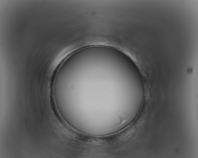 X0000093510199200710121110