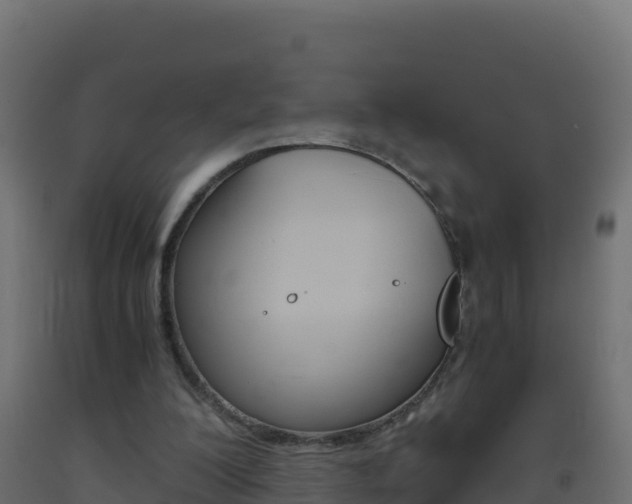 X0000093510200200710121110