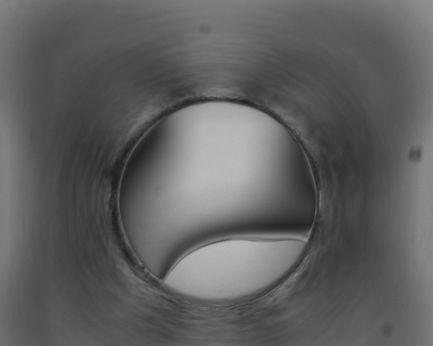 X0000093510201200710121110