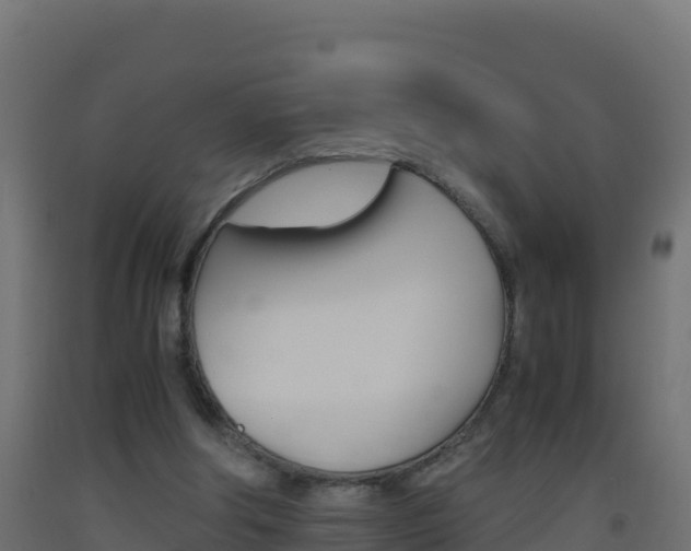 X0000093510202200710121110