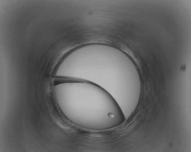 X0000093510203200710121110