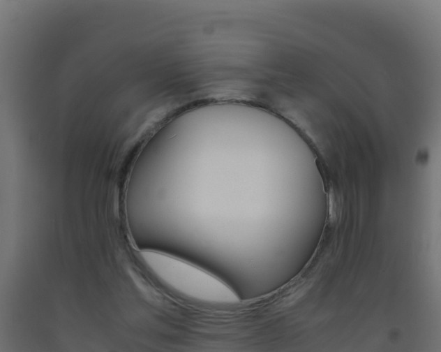 X0000093510205200710121110