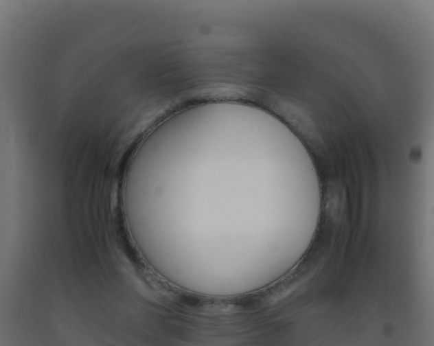 X0000093510206200710121110