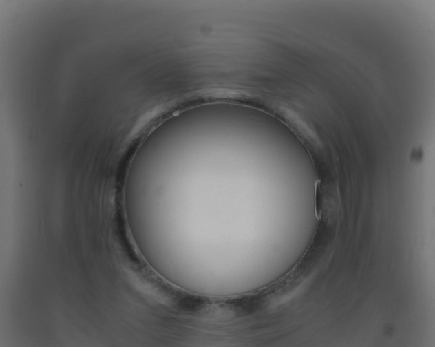 X0000093510207200710121110