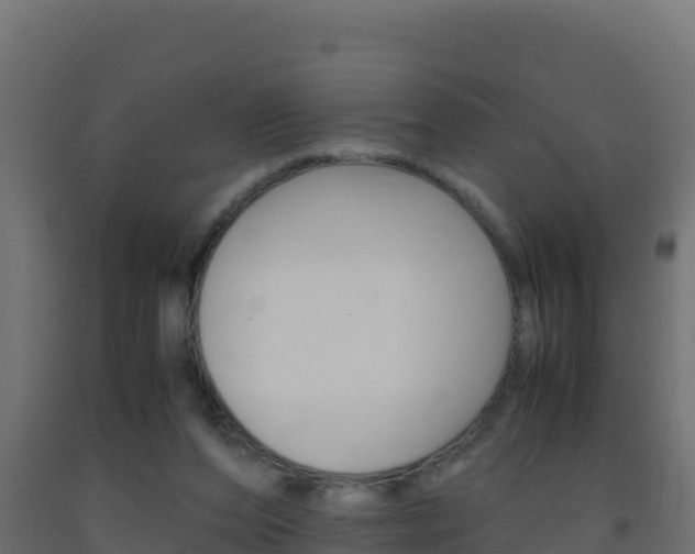 X0000093510208200710121110