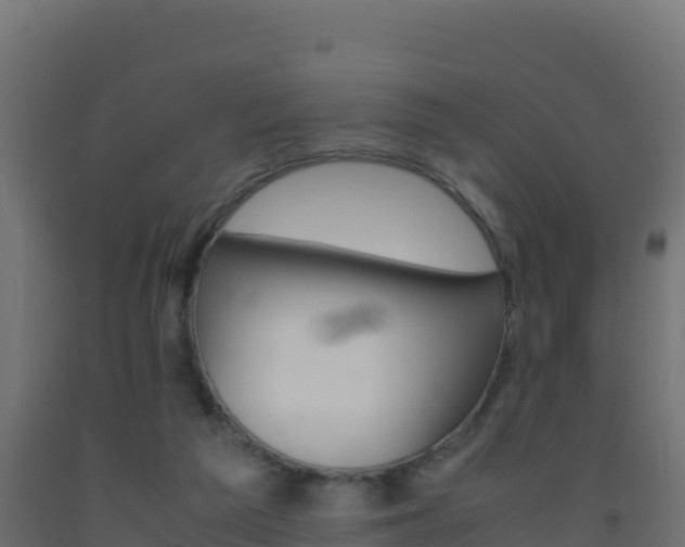 X0000093510209200710121110