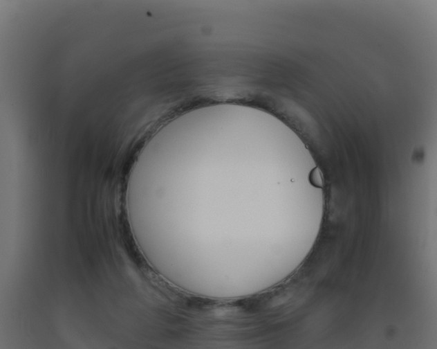 X0000093510210200710121110