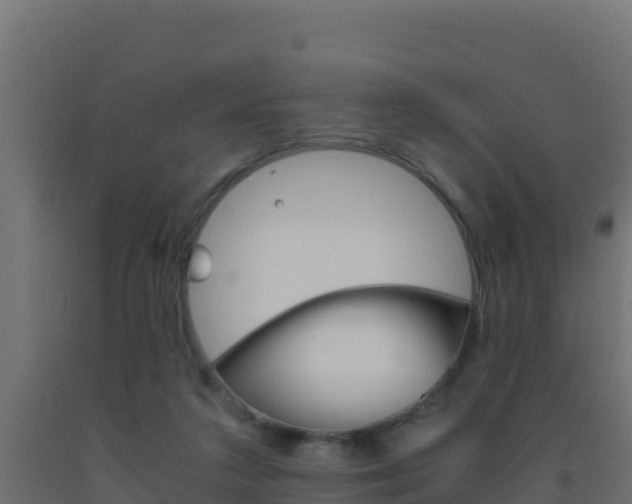 X0000093510211200710121110