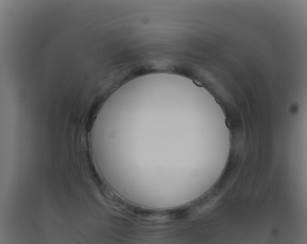 X0000093510213200710121110