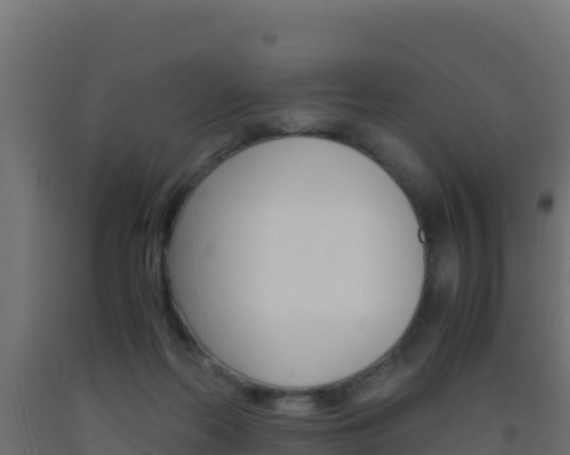 X0000093510214200710121110