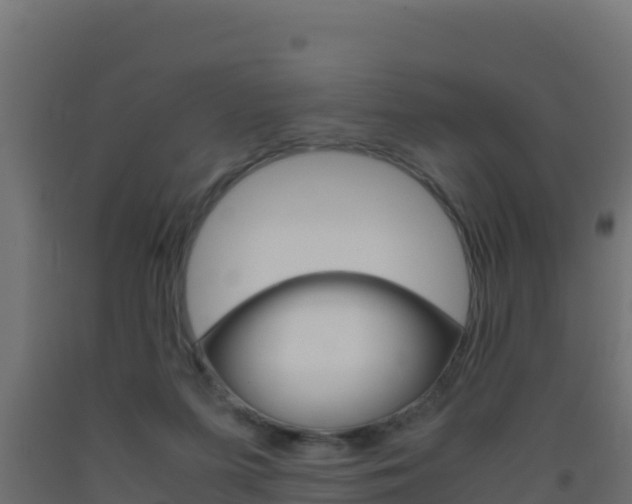X0000093510215200710121110