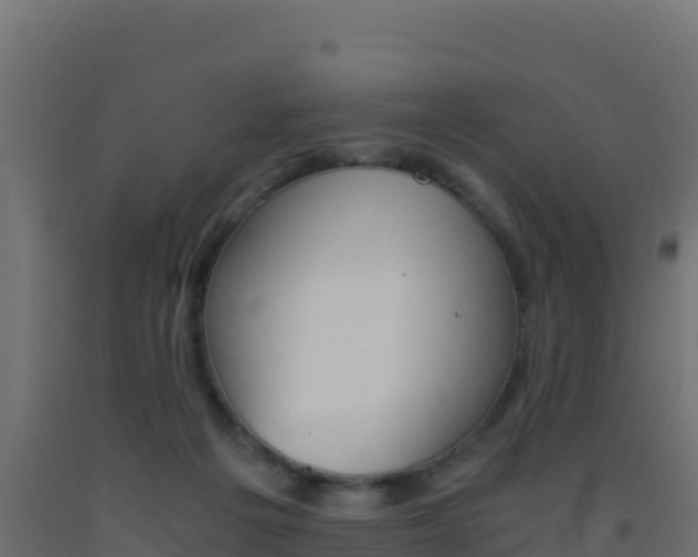 X0000093510217200710121110