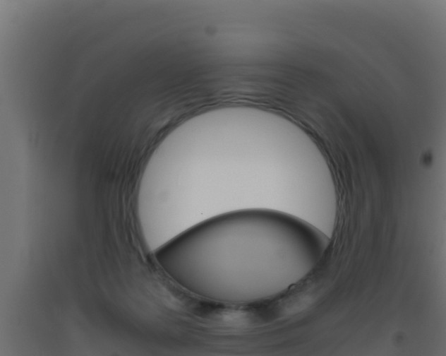 X0000093510219200710121110