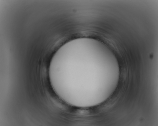 X0000093510220200710121110