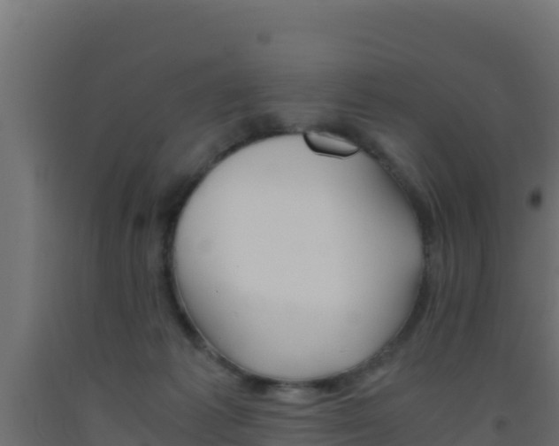 X0000093510221200710121110