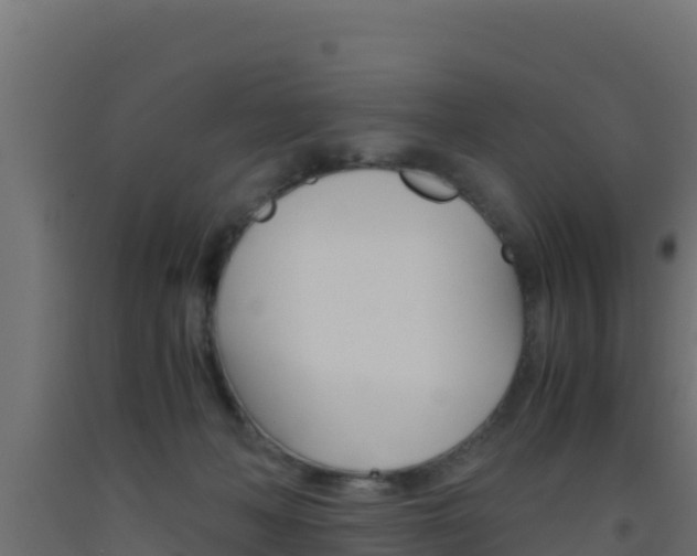 X0000093510222200710121109